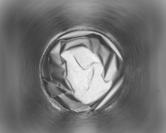 X0000053140854200508081342