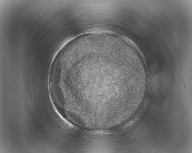 X0000053140855200508081342