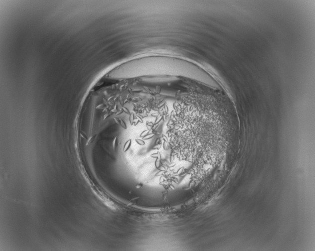 X0000053140862200508081342