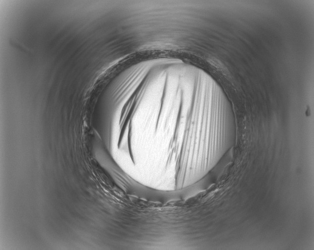 X0000053140872200508081341