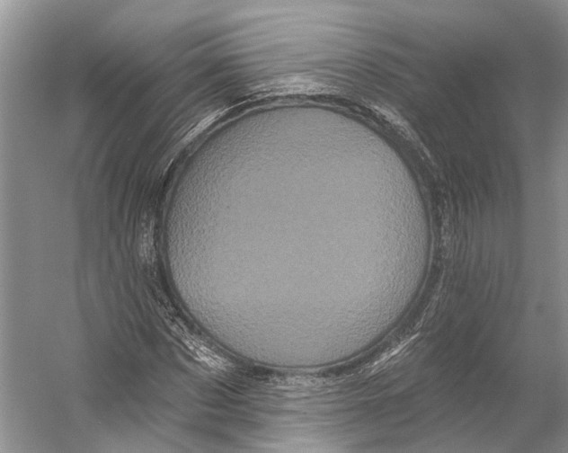 X0000053140873200508081341