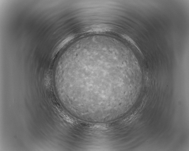 X0000053140874200508081341