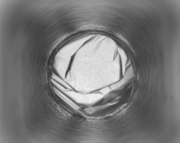 X0000053140877200508081341