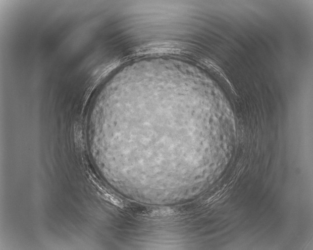 X0000053140882200508081341