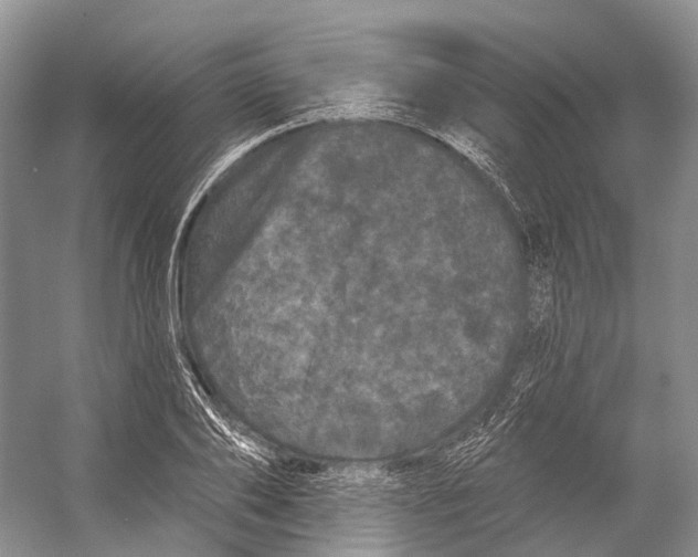 X0000053140886200508081341