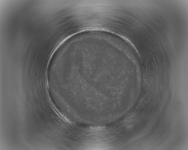 X0000053140887200508081341