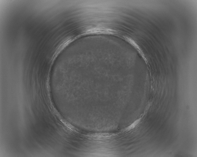 X0000053140893200508081341