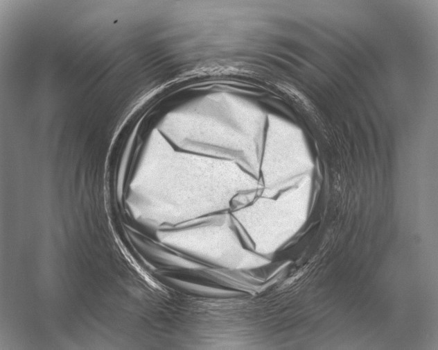 X0000053140894200508081341