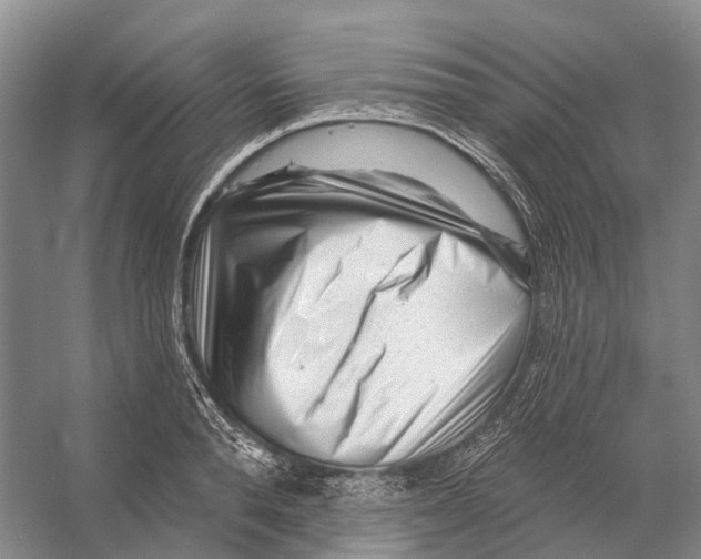 X0000053140896200508081341