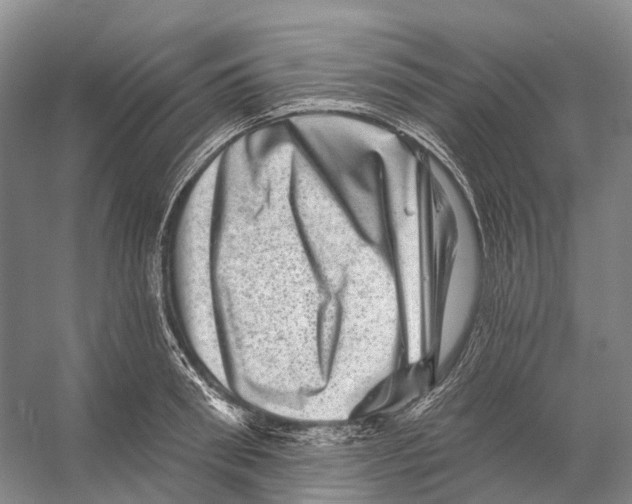 X0000053140898200508081341