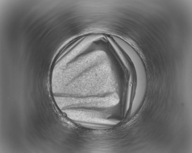 X0000053140904200508081341