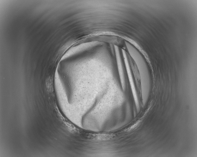 X0000053140905200508081341