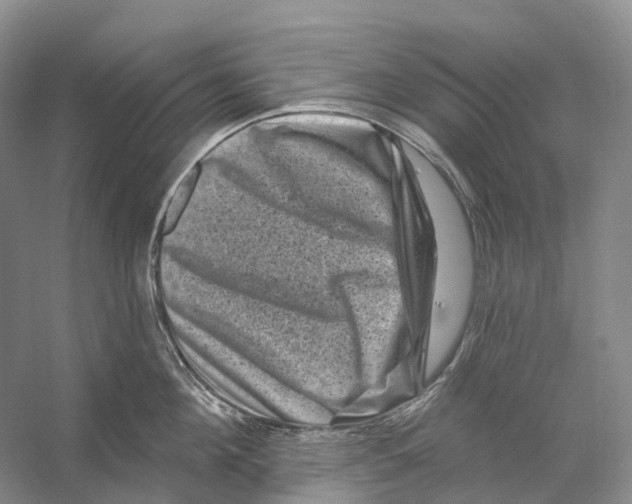 X0000053140908200508081341