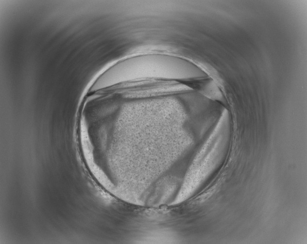 X0000053140912200508081341