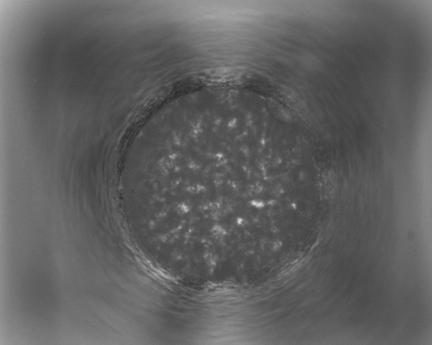 X0000053140913200508081340