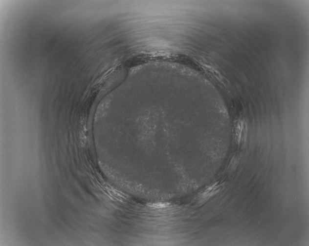 X0000053140916200508081340
