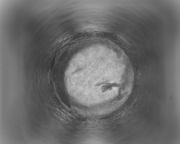 X0000053140917200508081340