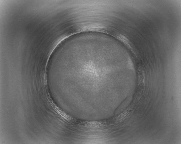 X0000053140924200508081340