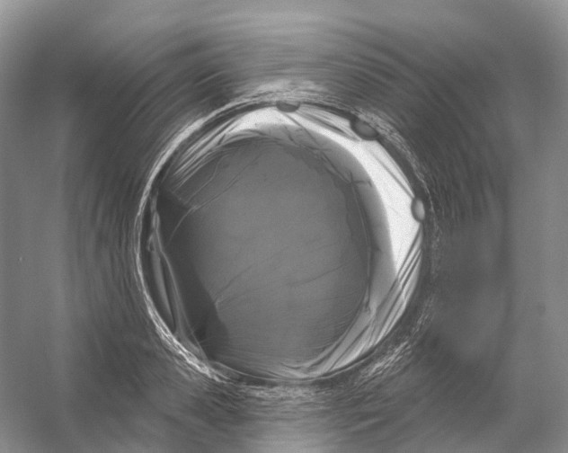 X0000053140941200508081340