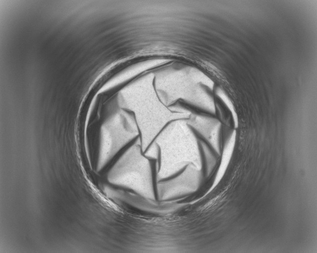 X0000053140942200508081340