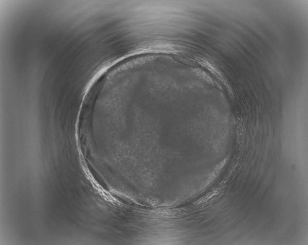 X0000053140944200508081341