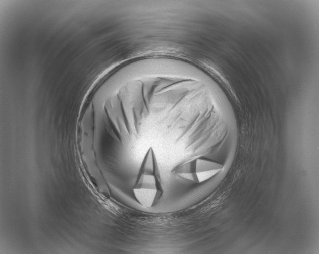 X0000053140948200508081341