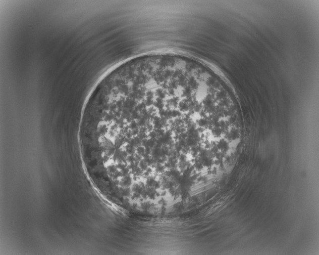 X0000053140951200508081341