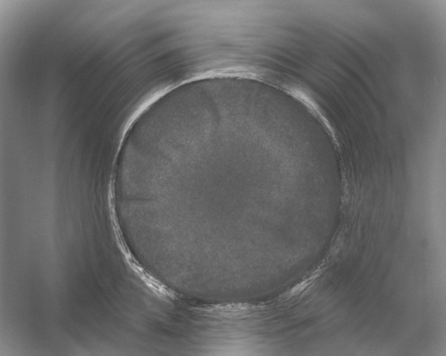 X0000053140952200508081341
