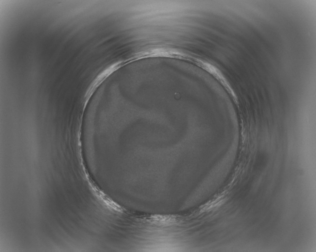 X0000053140954200508081341