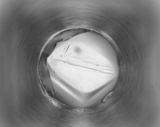 X0000053140956200508081341
