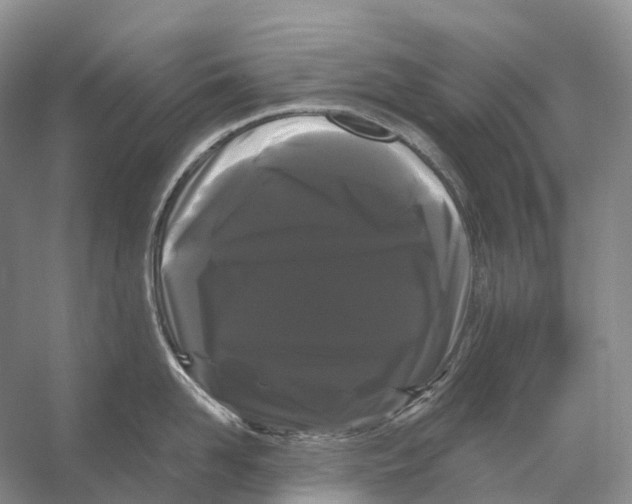 X0000053140958200508081341