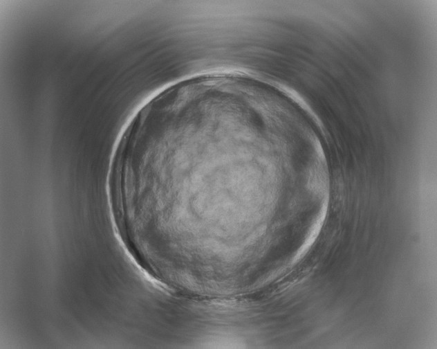 X0000053140959200508081341