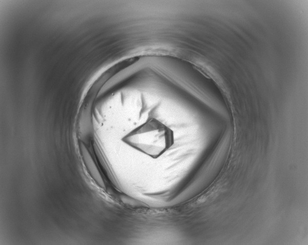 X0000053140960200508081341