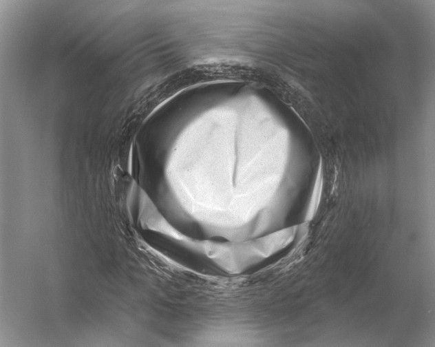 X0000053140965200508081340