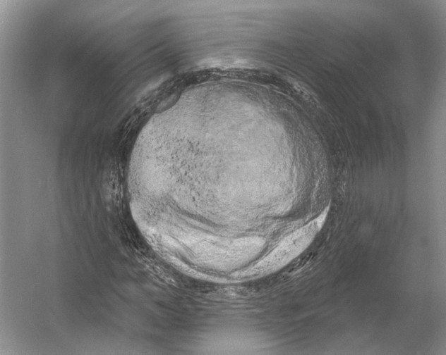 X0000053140966200508081340