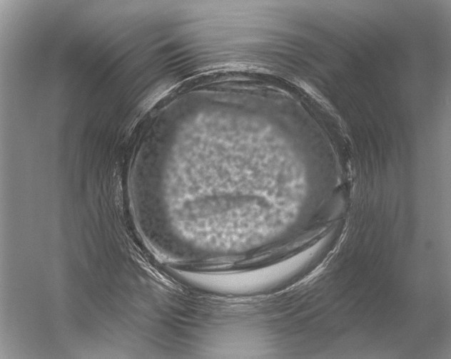 X0000053140969200508081340