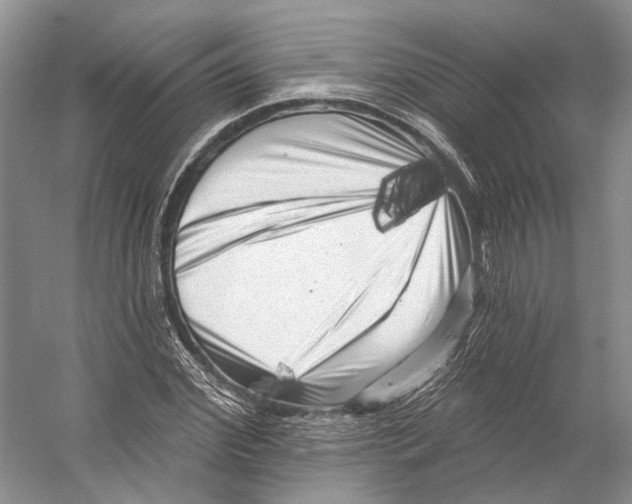 X0000053140972200508081340