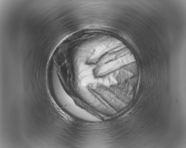 X0000053140976200508081340