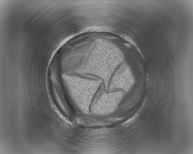 X0000053140981200508081340