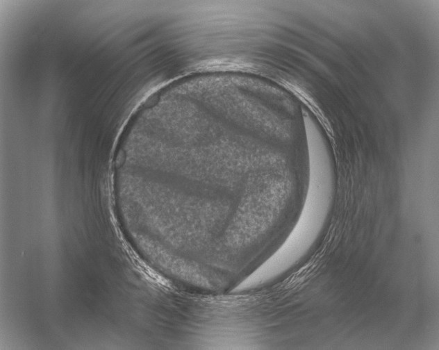 X0000053140992200508081339