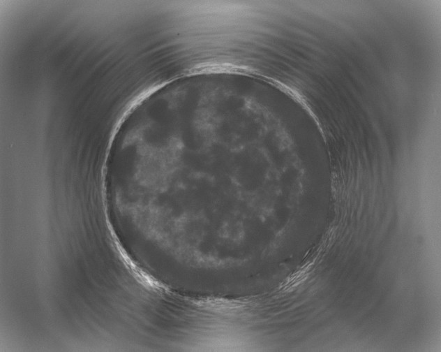 X0000053140995200508081339