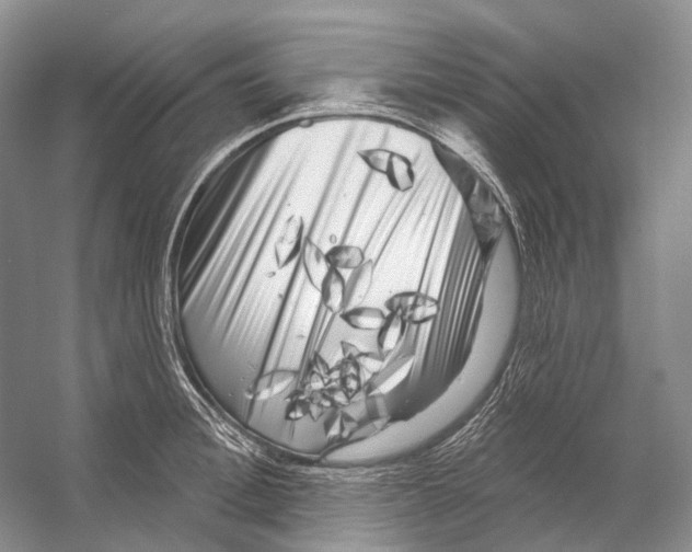 X0000053140996200508081339