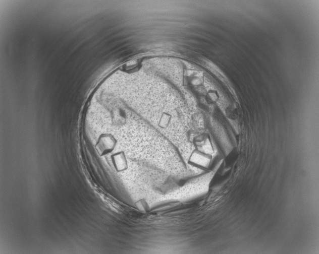 X0000053141002200508081339