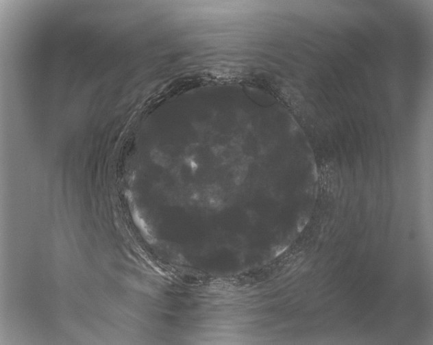 X0000053141009200508081338