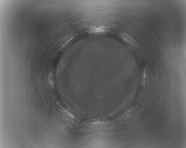 X0000053141010200508081338
