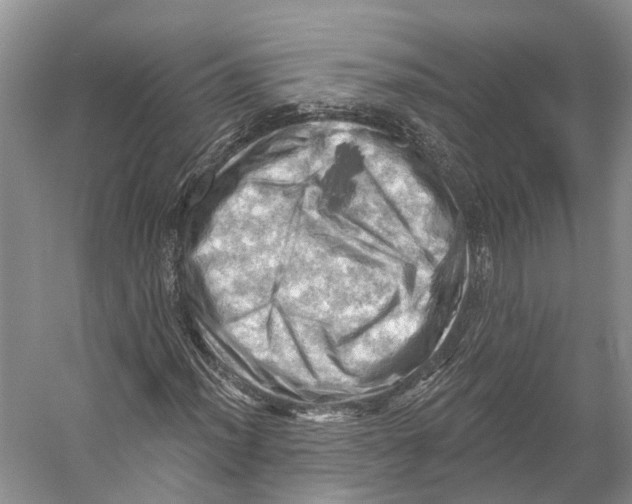 X0000053141012200508081338