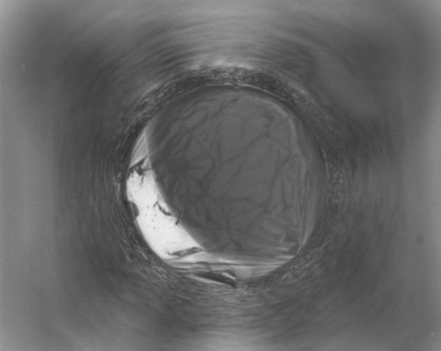 X0000053141013200508081338