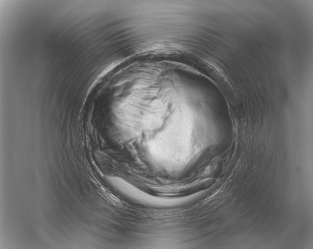 X0000053141018200508081339