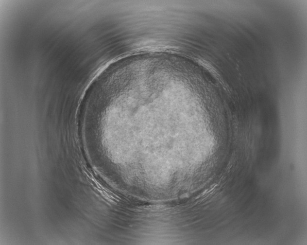 X0000053141023200508081339