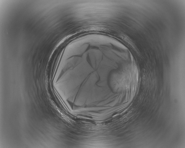 X0000053141024200508081339